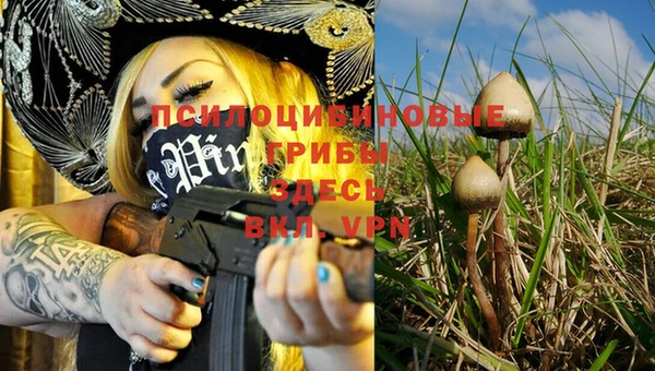 mix Верхний Тагил