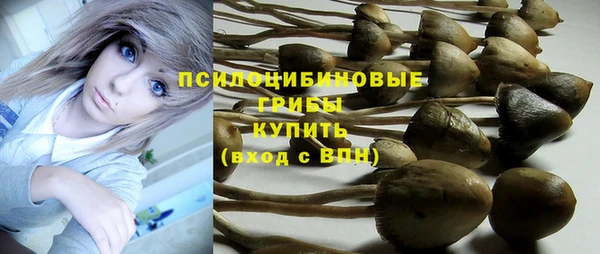 каннабис Верея