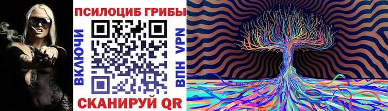 МЕГА tor  Братск  сайты даркнета как зайти  Псилоцибиновые грибы ЛСД 